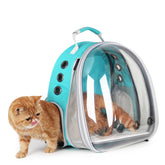 LOLLIMEOW bubble window view allows curious cats to observe surroundings during travel.
