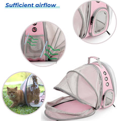 LOLLIMEOW airline-approved travel backpack ready for flights with small pets