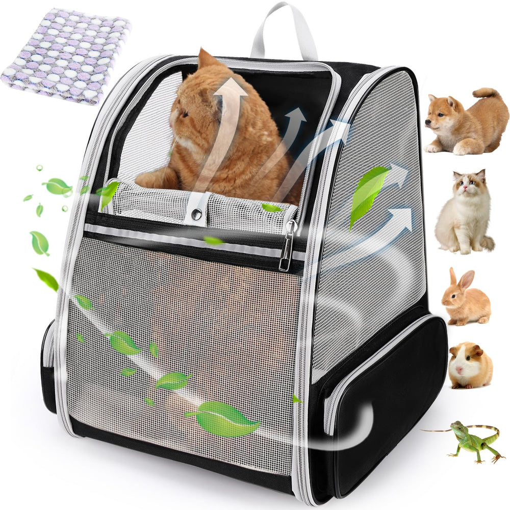 LOLLIMEOW cat backpack airline-approved design for cabin-friendly travel.