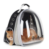 Lollimeow cat carrier backpack bubble-window view promotes calm, curious pet observation on walks.