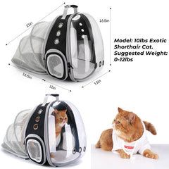 Lollimeow expandable pet carrier size showing extra space for comfort on journeys