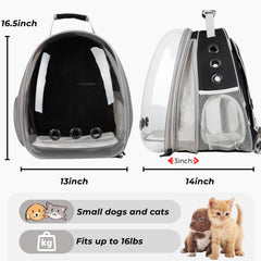 Lollimeow XL expandable carrier shows generous dimensions for larger cats and small dogs.