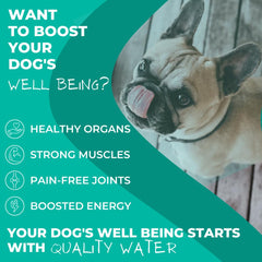 Long Life Dog Water electrolyte-support-graph illustrates balanced minerals for digestion.