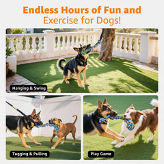 Durable LOOBANI bungee cord dog toy endures energetic tugging outdoors.