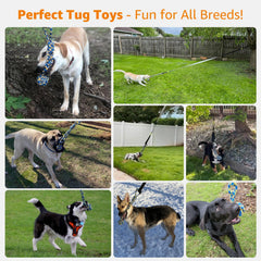 LOOBANI bungee tug toy demonstrates sling-shot action to entice chasing dogs.