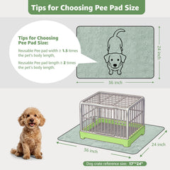 LOOBANI 2-pack 36x24 pee pads keep training areas dry and clean.