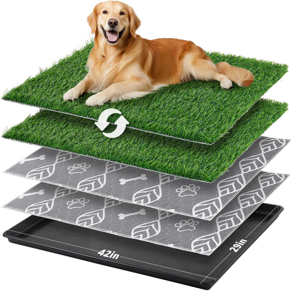 LOOBANI 45x29in dog litter box assembly ready for indoor potty training