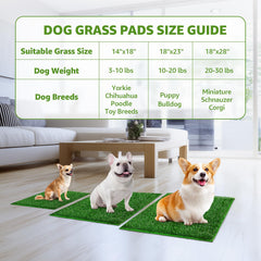 LOOBANI patch uses odor-minimizing yarn for cleaner living spaces.