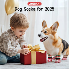 LOOBANI dog socks size L guide helps ensure proper fit for larger paws.