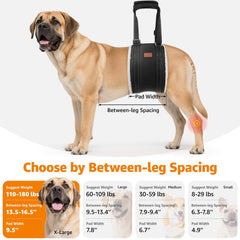 LOOBANI padded-handle sling offers comfortable carry during lifts.