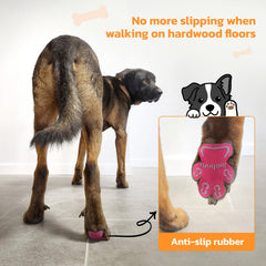 LOOBANI paw pads application closeup showing easy peel-and-stick