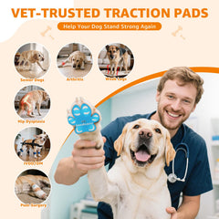 LOOBANI Paw Pads senior-dog-use demonstrates gentle grip support for unsteady paws.