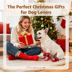 LOOBANI paw protection socks highlight enhanced grip for confident indoor walks
