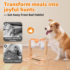 Loobani wooden puzzle toy in home setting for canine enrichment.