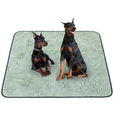 LOOBANI washable pee pad top view shows absorbent surface for dry floors.