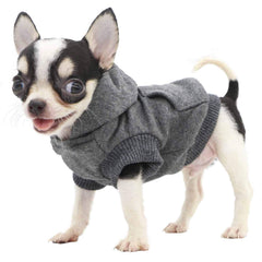 LOPHIPETS dog hoodie back view highlights secure lanyard and back pocket for tiny essentials.