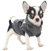 LOPHIPETS dog hoodie front view showing cozy cotton fabric for small dogs' warmth.