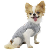 LOPHIPETS girl dog shirts gray strips XL front fits tiny breeds securely