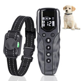 LOSULF receiver close-up on tiny dog collar for gentle training