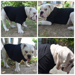 Lovelonglong Bulldog Clothes fabric detail reveals breathable cotton fiber