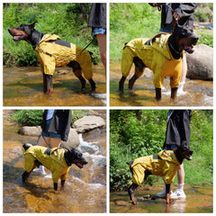Lovelonglong raincoat provides four-leg coverage to shield fur and belly from snow.