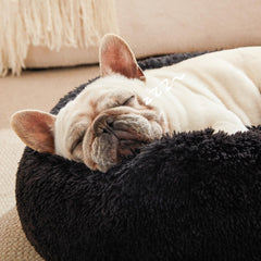 Love's cabin calming cat bed raised rim supports head and neck.