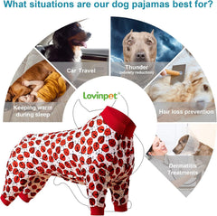 LovinPet crew-neck-red-ladybug-print showcases stylish comfort during lounging and photos