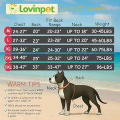 LovinPet dog pajamas large size on a wearing dog