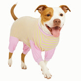 LovinPet dog recovery suit full coverage guards wounds while your dog rests