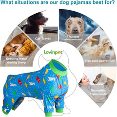 LovinPet dog sun-protection onesie helps shield skin during sunny outings.