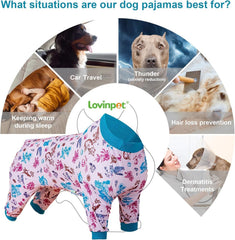 LovinPet post-surgery pajamas in indoor use keep dogs clean and comfy