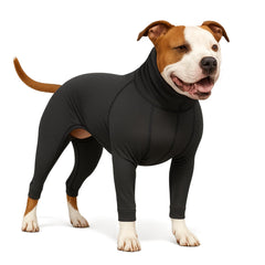 LovinPet UPF50+ dog shirt front view shows sun protection during outdoor walks.