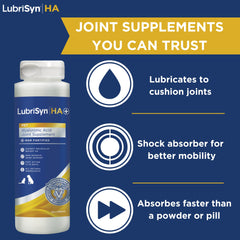 LubriSynHA for dogs highlights improved mobility during play and walks.