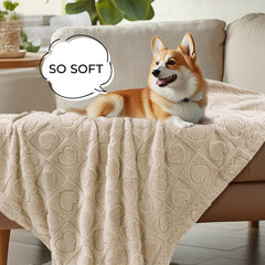 Luciphia machine-washable-pet-blanket is easy to clean after muddy adventures.