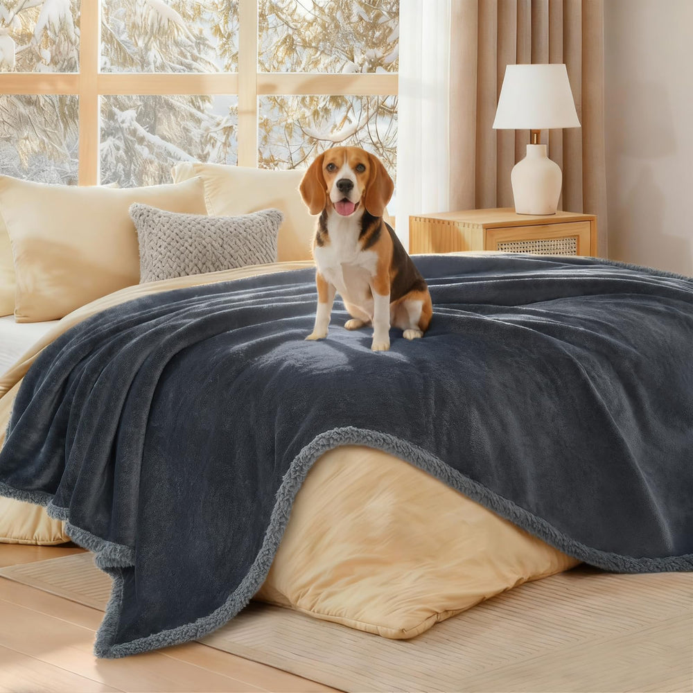 Luciphia waterproof bed blanket on a couch protecting a puppy's resting spot.