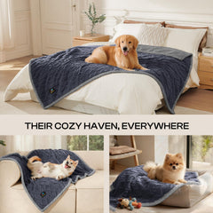 Luciphia blanket on couch used by dogs and cats during nap time.