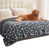 Luciphia waterproof pet blanket on couch protecting furniture from spills and fur.