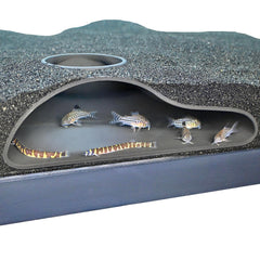 Lucky Critter aquarium underground tunnel cave curve provides a natural hiding spot and immersive viewing angle.