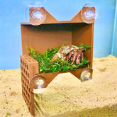 Lucky Critter hermit-crab-climbing-wall-front-view enables enrichment and climbing opportunities for tank inhabitants.