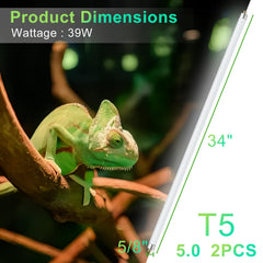 LUCKY HERP UVB 5.0 simulates natural sunlight to encourage daytime activity.