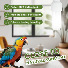 Lucky Herp bird light in socket shows easy installation with standard fittings