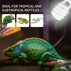 LUCKY HERP E26 socket compatibility enables direct lamp use.