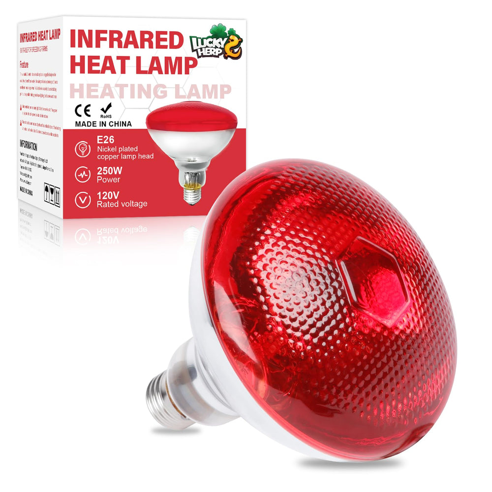 LUCKY HERP infrared heat lamp 250W bulb close-up for poultry warmth