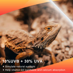 LUCKY HERP natural sunlight simulation with UVB and UVA supports reptile activity