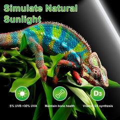Lucky Herp T8 30W UVB5.0 bulb supports extended UVB life in enclosures.