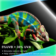 LUCKY HERP UVB 5.0 T5 supports diurnal rhythms and activity.