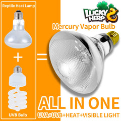 Lucky Herp UVB vapor heat lamp connected to an E26 socket for installation.