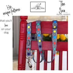 Lucky Love Dog 5ft leash small bright pattern for confident, controlled walks.