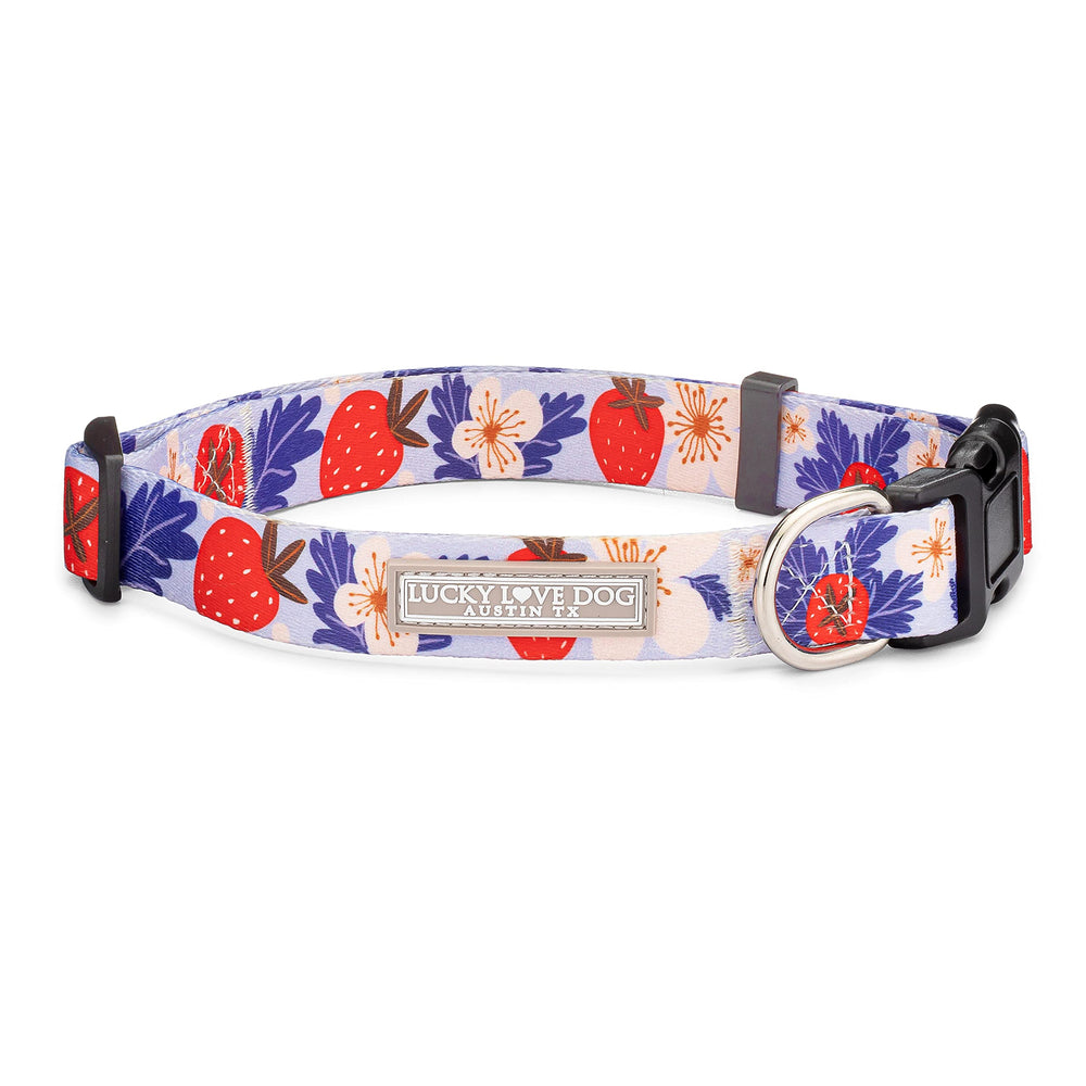 Lucky Love Dog adjustable collar with easy click buckle for quick secure release.