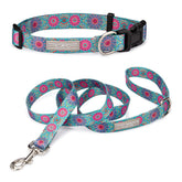 Lucky Love Dog boho chic collar on a small Clara combo dog for stylish everyday walks.